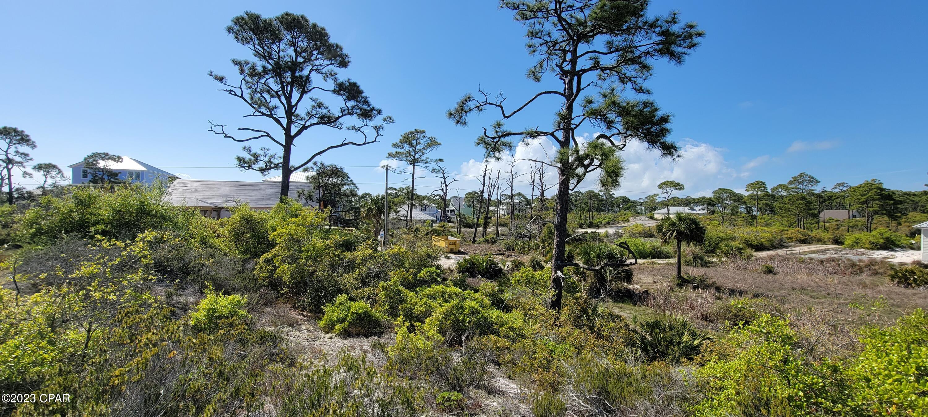 Cape San Blas - Land