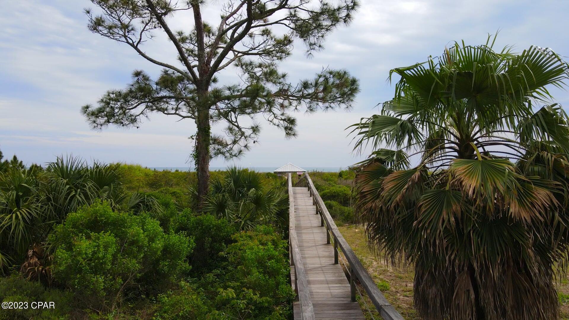 Cape San Blas - Land