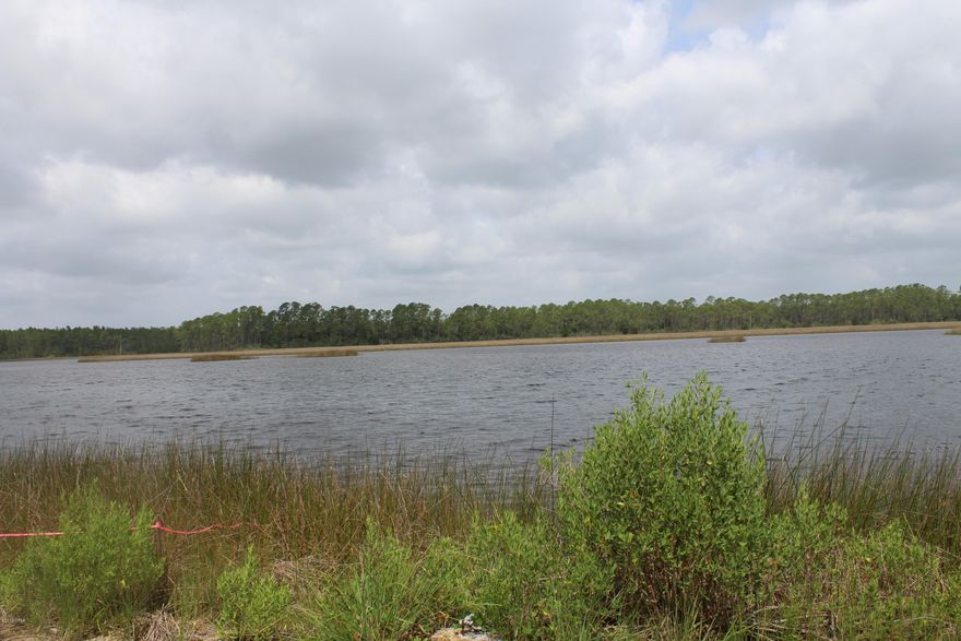 Estate Size parcel with 242' of waterfront on arguably the best fishing waters in Bay County. Only three miles form North West Florida Beaches International Airport, close to Latitude Margaritaville Watersound and Venture Crossing commercial park. The property consists of 8.2 acres of Virgin Florida forest with live oak, Spanish Moss and Magnolias everywhere. The building site has been cleared and permits have been obtained for a dock, power, septic and concrete boat ramp 15' wide. Secluded acreage surrounded by thousands of acres of St. Joe Property located at the southern end of South Burnt Mill Creek Rd. Owner financing a possibility.