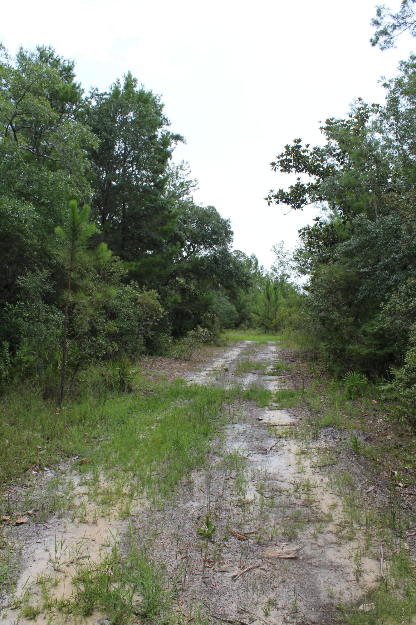 [No Recorded Subdiv] - Land