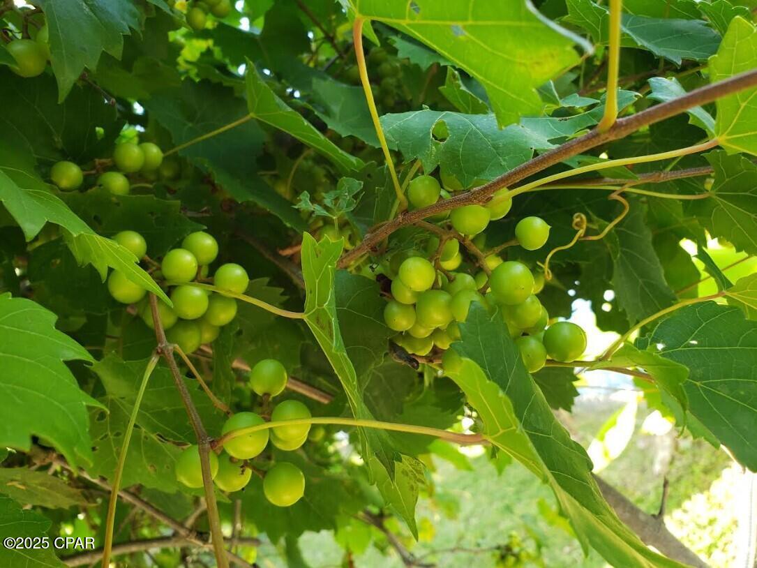 Callaway Bayou Estates Unit 2 - Residential