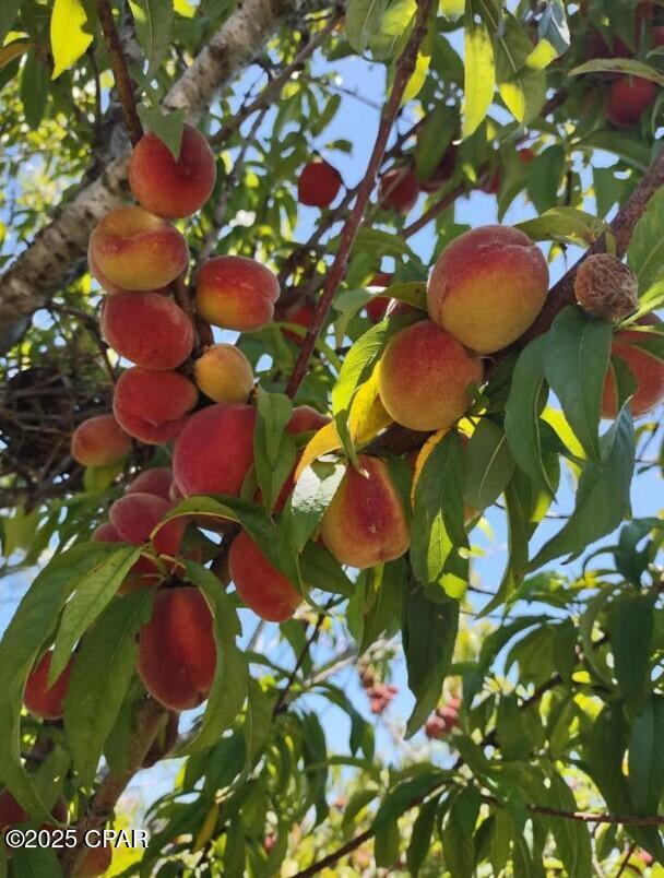 Callaway Bayou Estates Unit 2 - Residential