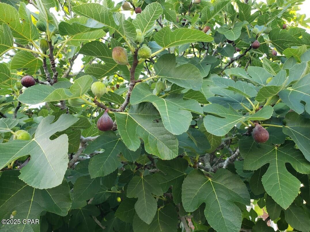 Callaway Bayou Estates Unit 2 - Residential