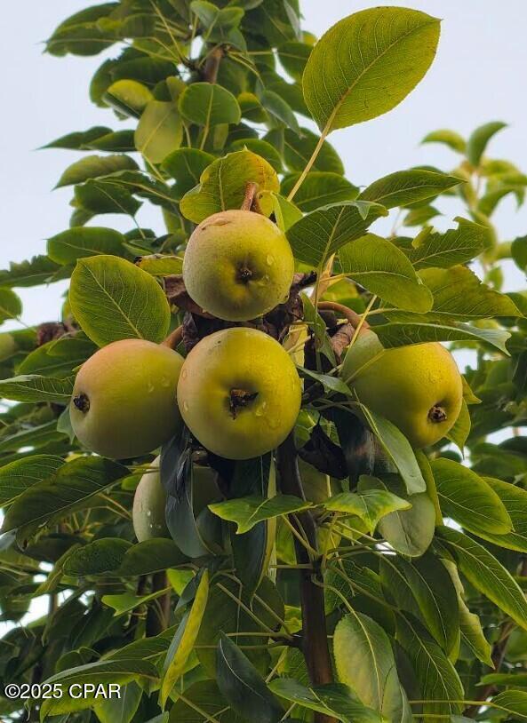 Callaway Bayou Estates Unit 2 - Residential