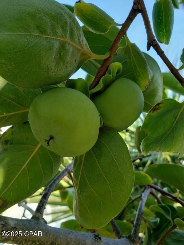 Callaway Bayou Estates Unit 2 - Residential