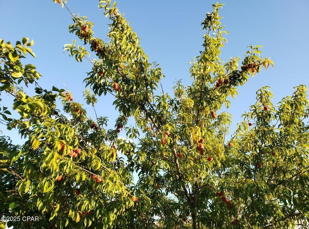 Callaway Bayou Estates Unit 2 - Residential