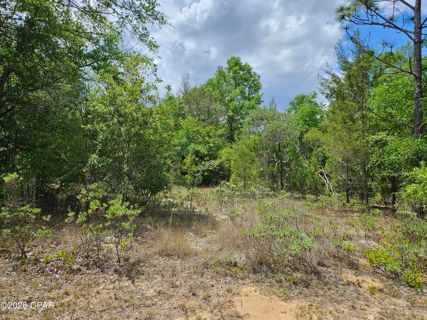 This flat lot in Sunny Hills is 0.38 acre is 1.5  blocks off Hwy 77 in the growing subdivision where many new homes are being built. The lot has plenty of trees for shade and would a good place to build your new home. There are plenty of recreational opportunities including clear Boat Lake that is a great spot for family outings as it includes picnic tables, men's and women's restrooms, some playground equipment and more. More information is available on its Facebook page. Also, Sunny Hills Golf and Country Club has a nice 18-hole course with big greens and wide fairways. Gap Pond with a boat launch is not far away. Be sure to check all of the photos.