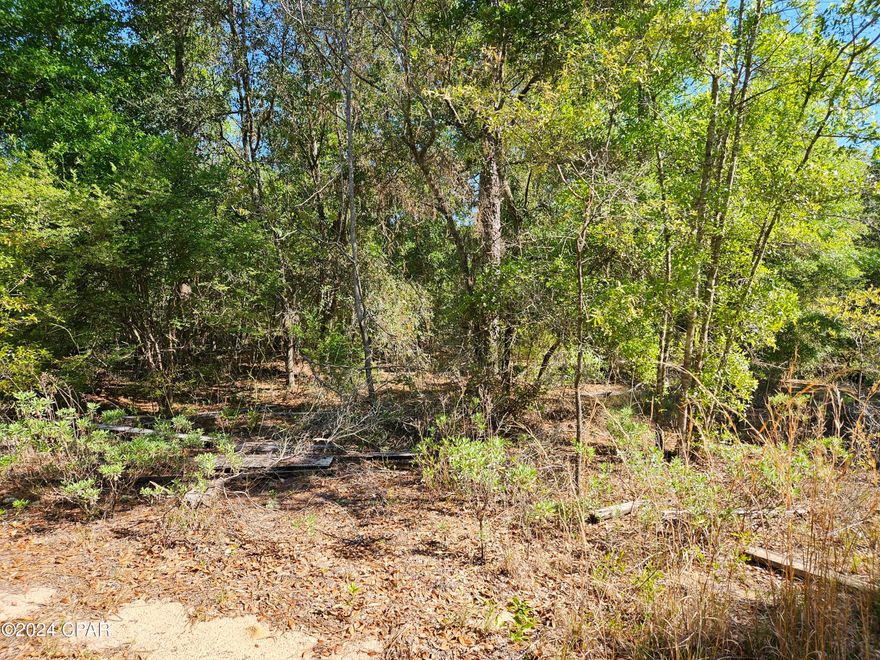 CURRENTLY UNDER CONTRACT, SELLER WILL CONSIDER BACKUP OFFERS This is a very secluded 2.49 acres at the end of a dead end with lots of surrounding woods. It backs up to a large tract of land so there most likely will not be any neighbors right behind your new home. It is flat but not far from both lakes. There is lots of room for a circle driveway, pole barn, storage building or work shop. Besides privacy, enjoy the amenities of the security gated subdivision such as swimming in the pool and both lakes, basketball court, tennis court, toddler playground, covered pavilion with picnic tables, concrete boat launch for fishing and kayaking, or just watching the sun go down over the water. Not far from Panama City or the World's Most Beautify Beaches, come see what could be yours!
