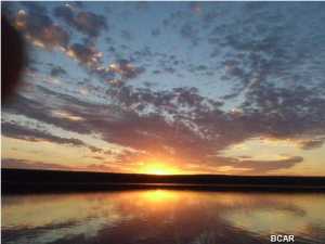 Hicks Lake - Residential