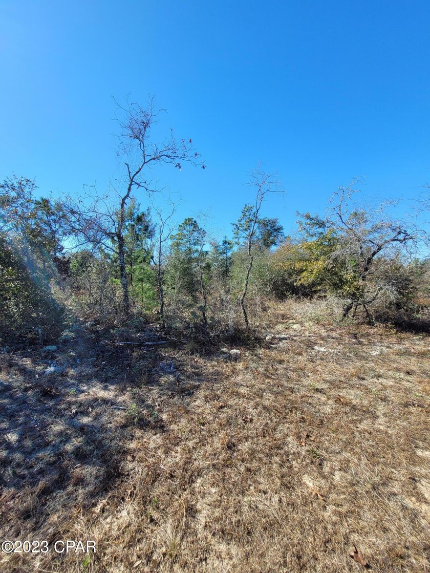 Nice wooded .26+/- building lot in Sunny Hills. Lot is close to Elkcam Blvd for easy access to Hwy 77. Several fishing spots in the area. Golf Course. Lots are restricted to site built homes only. Approx. 45 minutes to Panama City Beach, 20 minutes to Chipley for local amenities.