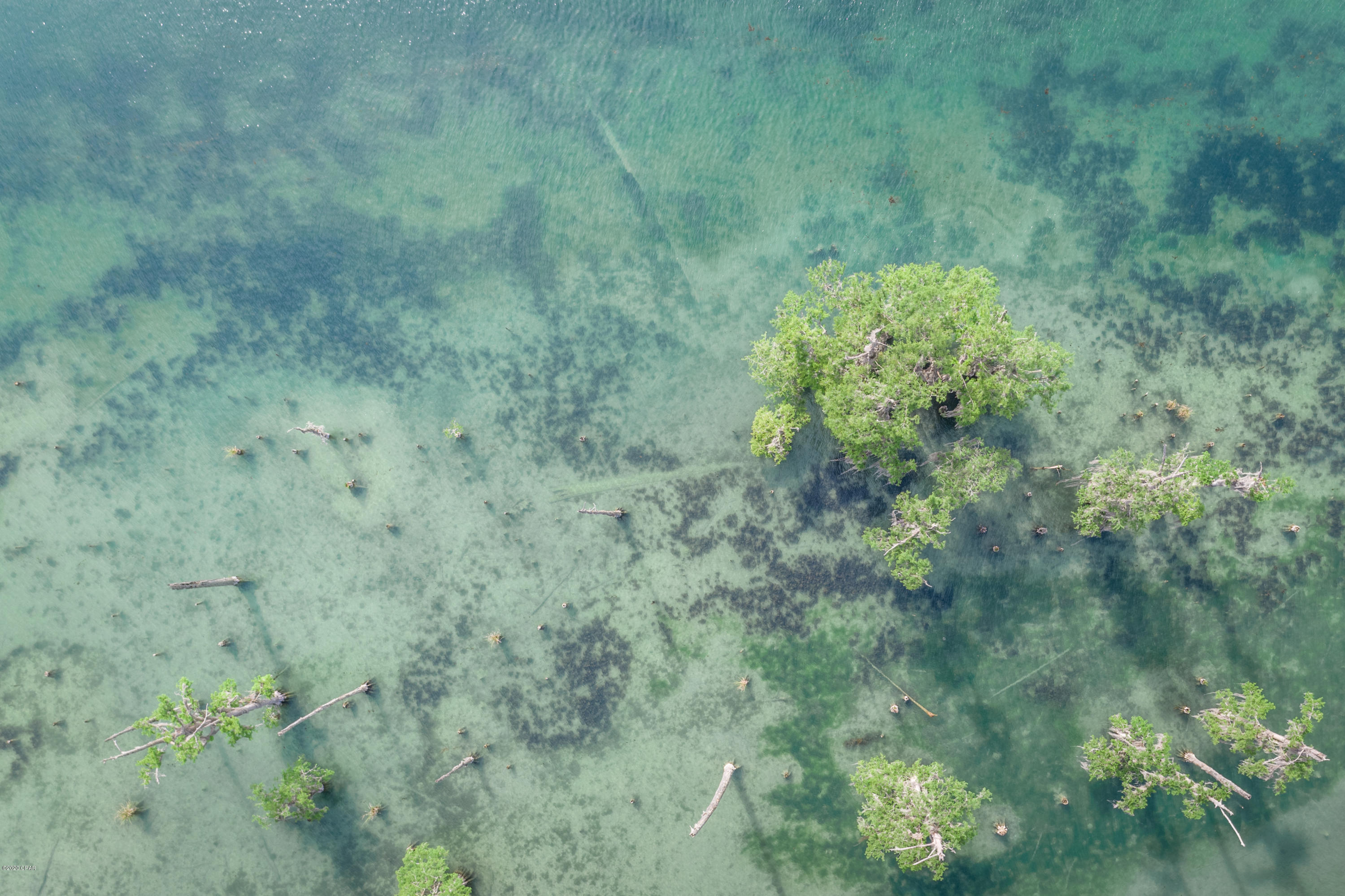 Spring Chase - Residential