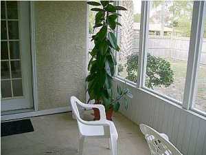 Treasure Island - Residential Lease