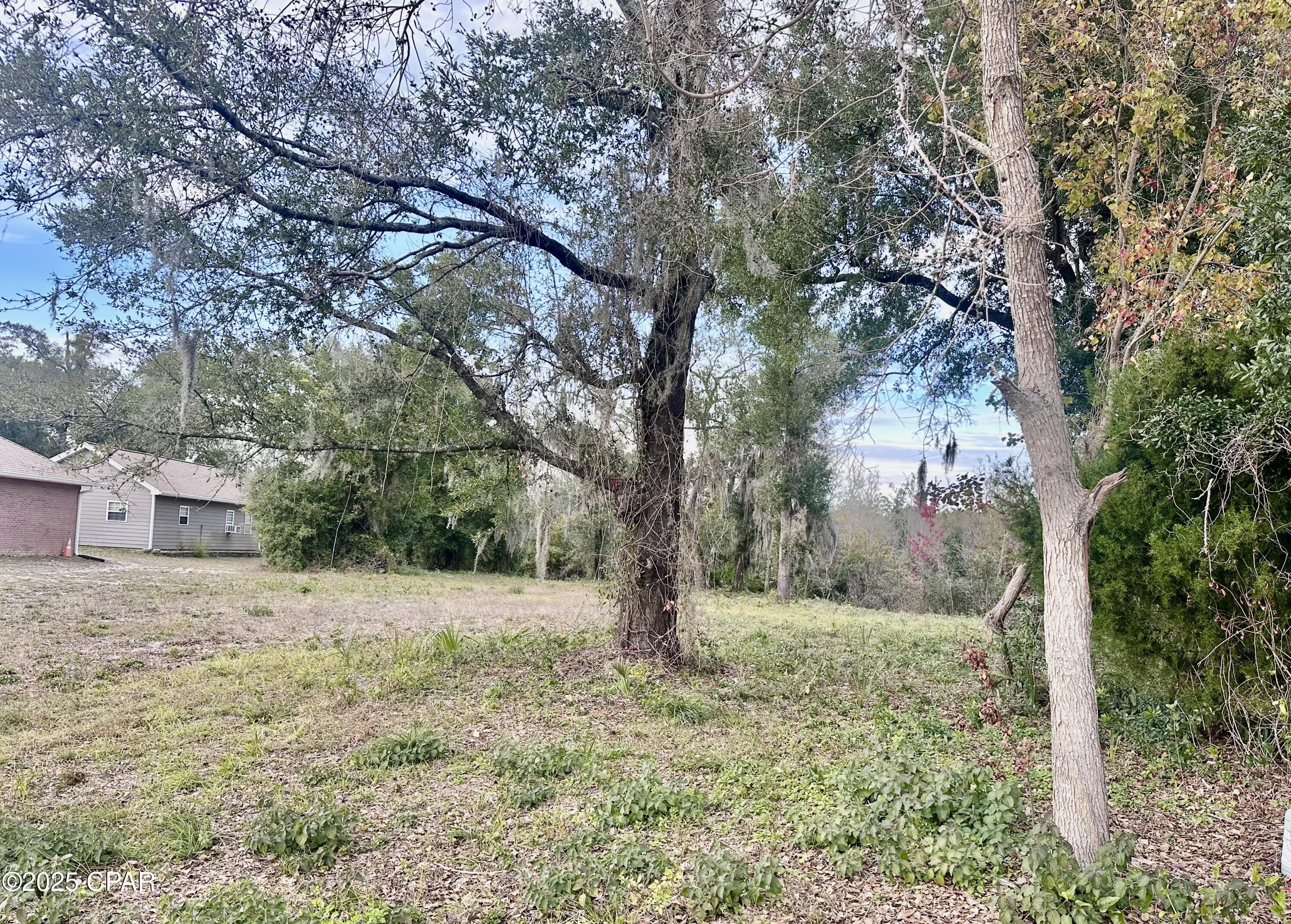 Timberwolf Estates - Land