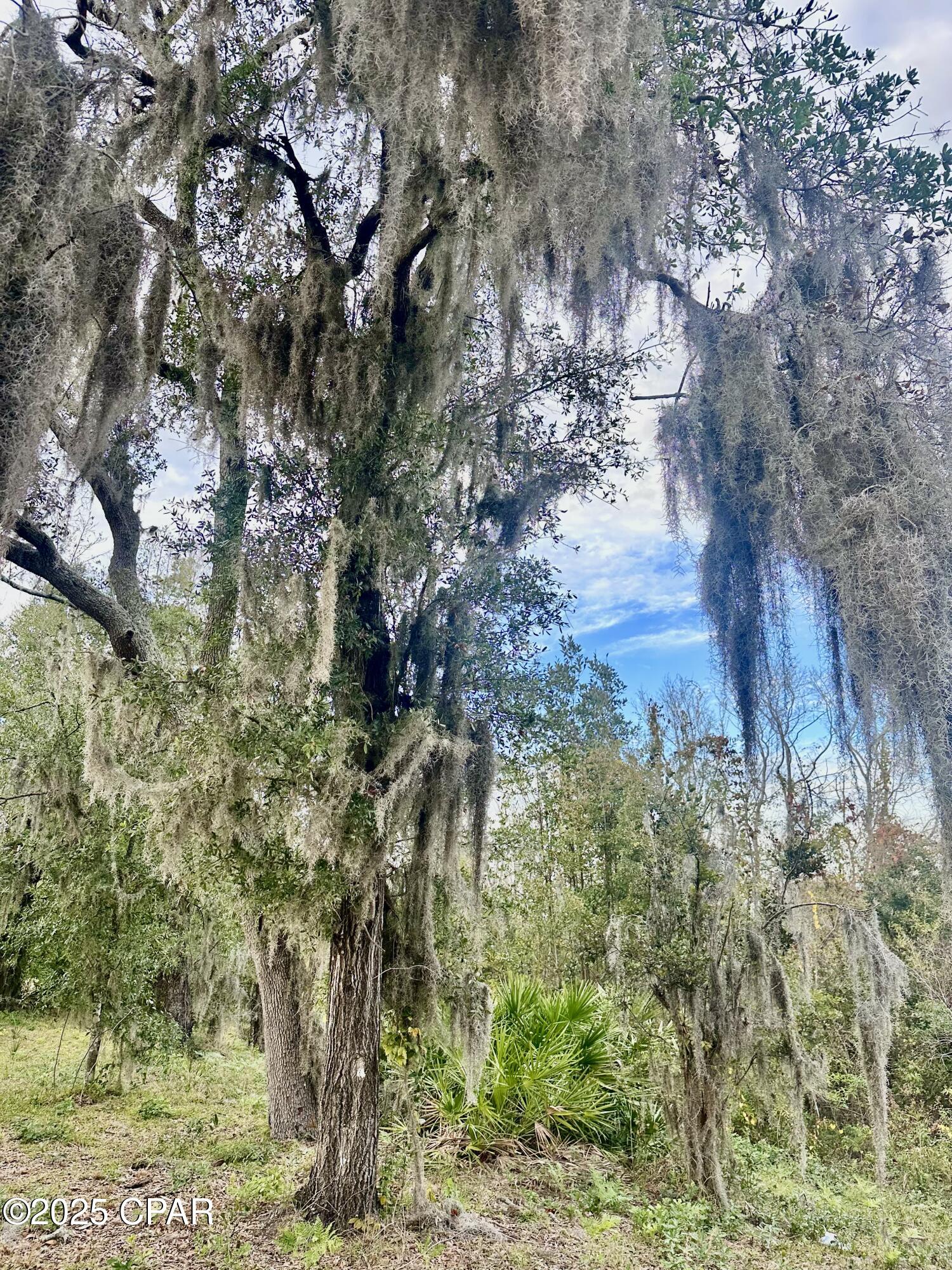 Timberwolf Estates - Land