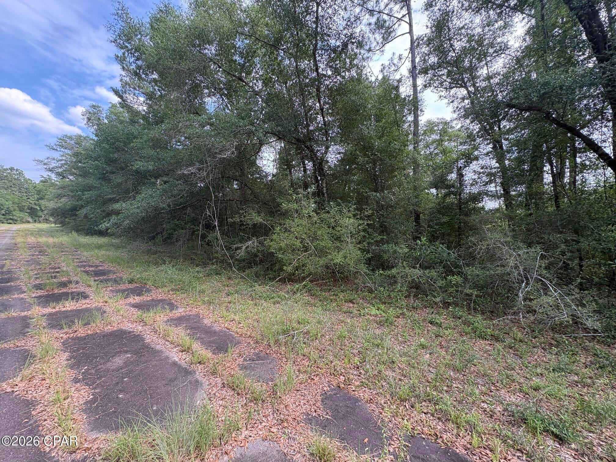 LOT 38 Birchwood Drive