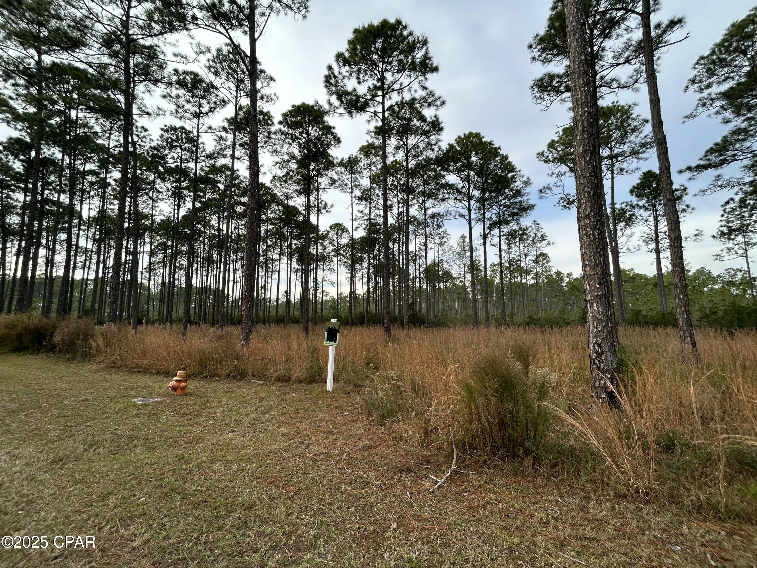 Rivercamps On Crooked Creek - Land