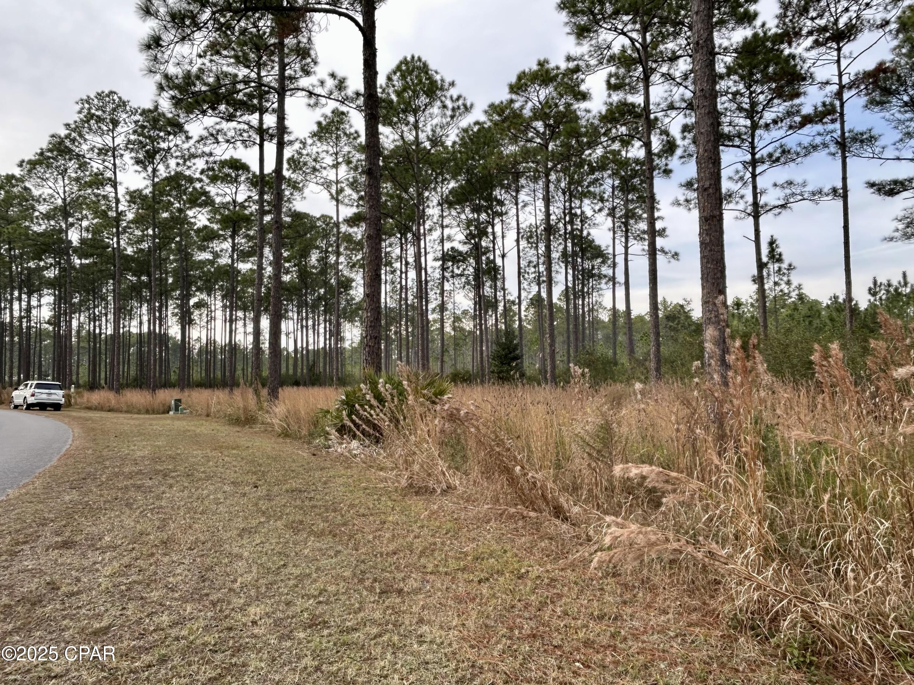 Rivercamps On Crooked Creek - Land