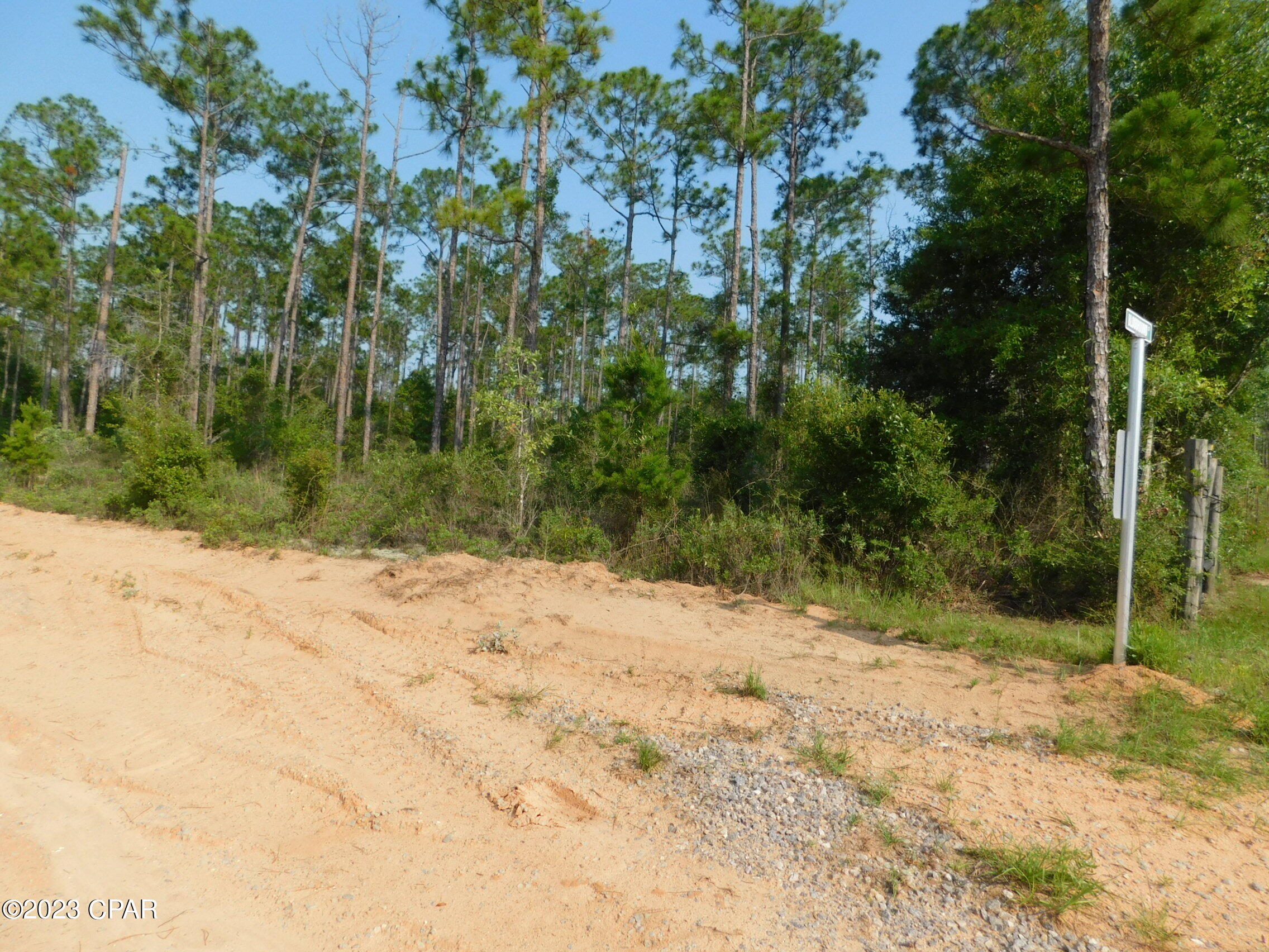 Rolling Pines - Land