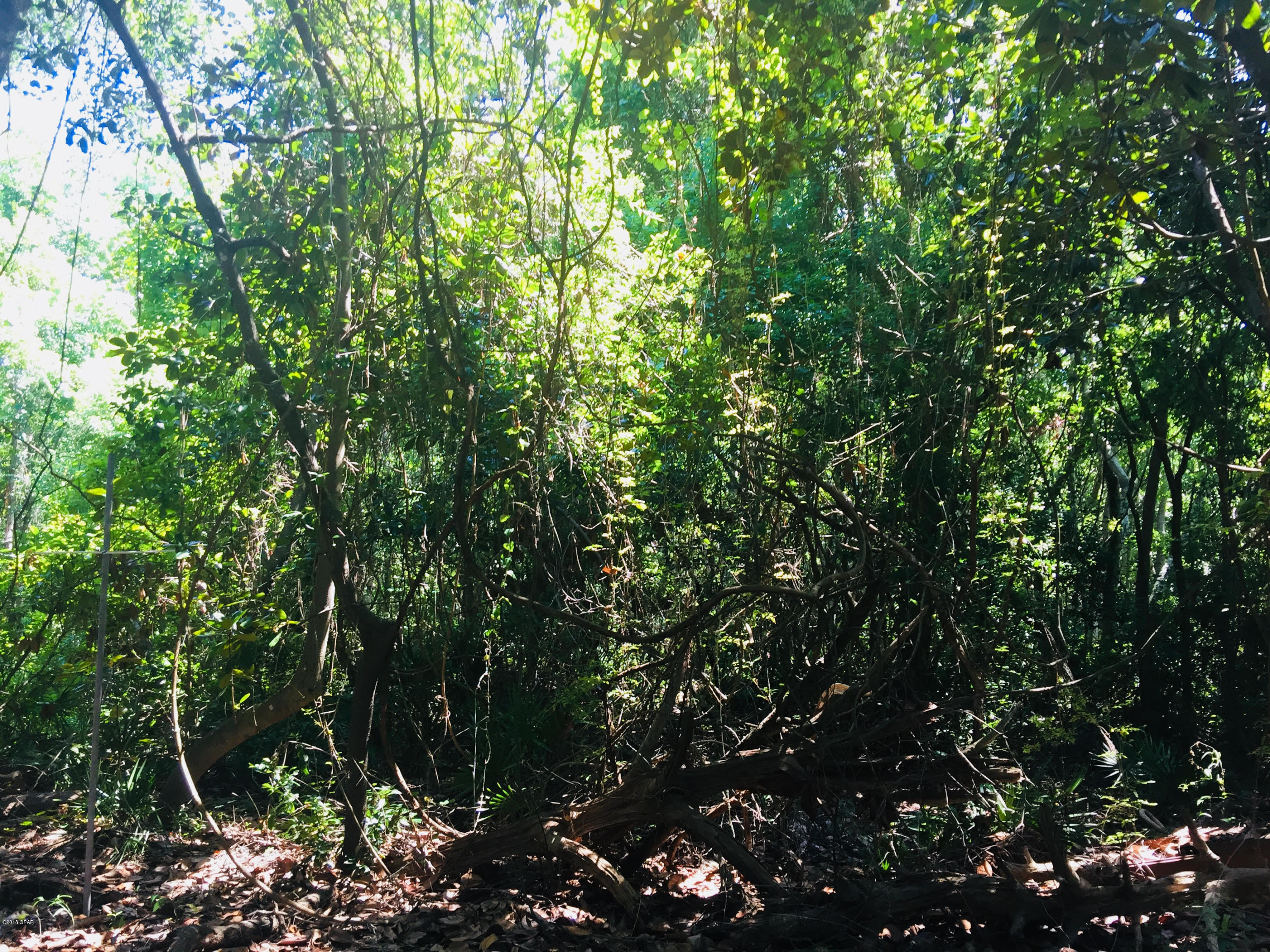 Calhoun S/D Destin - Residential