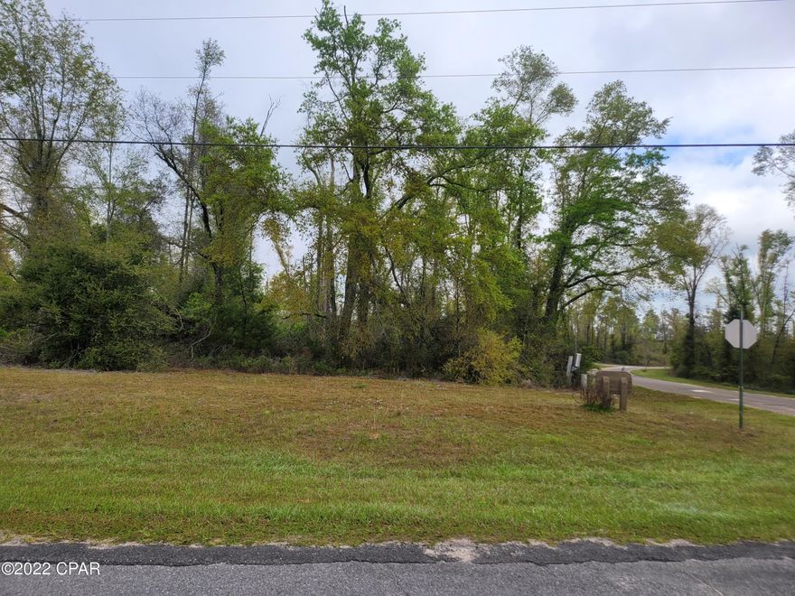 Nice corner building lot in Compass Lake. Lot is mostly wooded. Close to the lake and other amenities of Compass Lake. There is a voluntary fee of $135 per year to access the amenities.