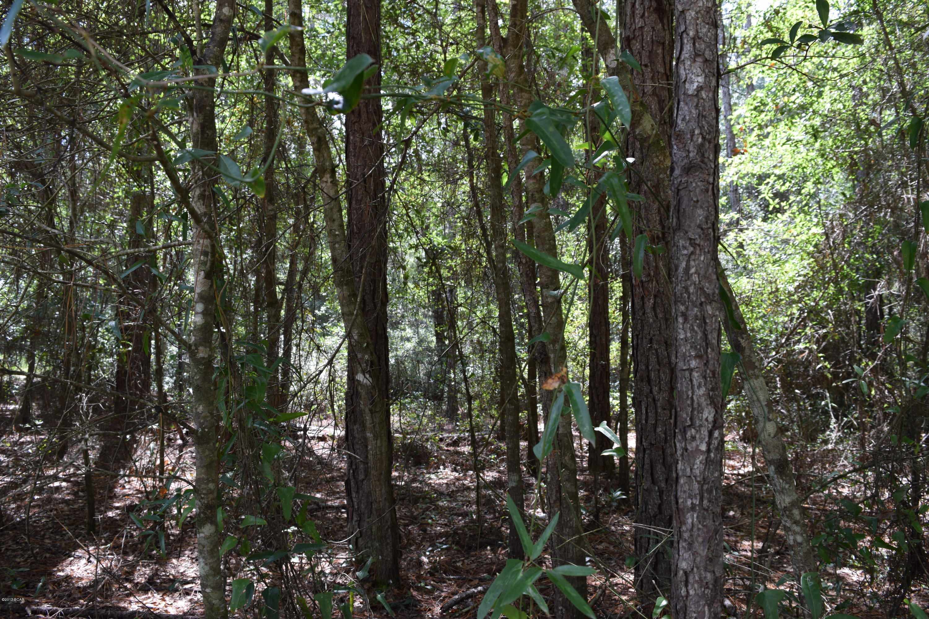 Compass Lake Hills Unit 6 - Land