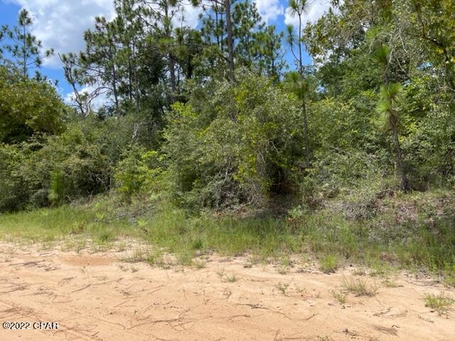 Compass Lake Hills Unit 3 - Land