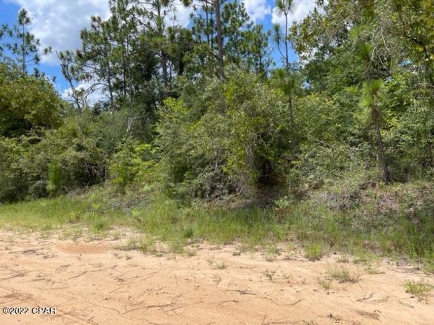 This is a very nice wooded residential lot in beautiful Compass Lake in the Hills.  Enjoy the two lakes that you have access to for swimming, fishing and just enjoying their beauty. Wildlife abounds here with deer, turkey, birds and butterflies! You have easy access to Panama City on the coast to the south and Marianna for shopping to the north. There are two restaurants there now, Olle;s Restaurant and The Cove.