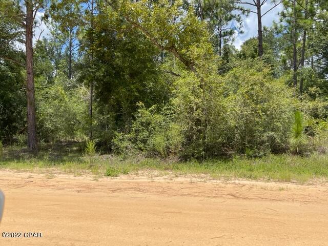 Compass Lake Hills Unit 3 - Land