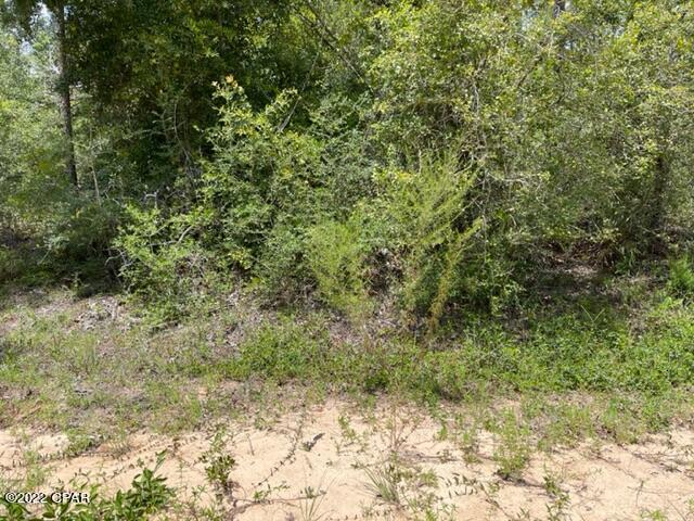 Compass Lake Hills Unit 3 - Land