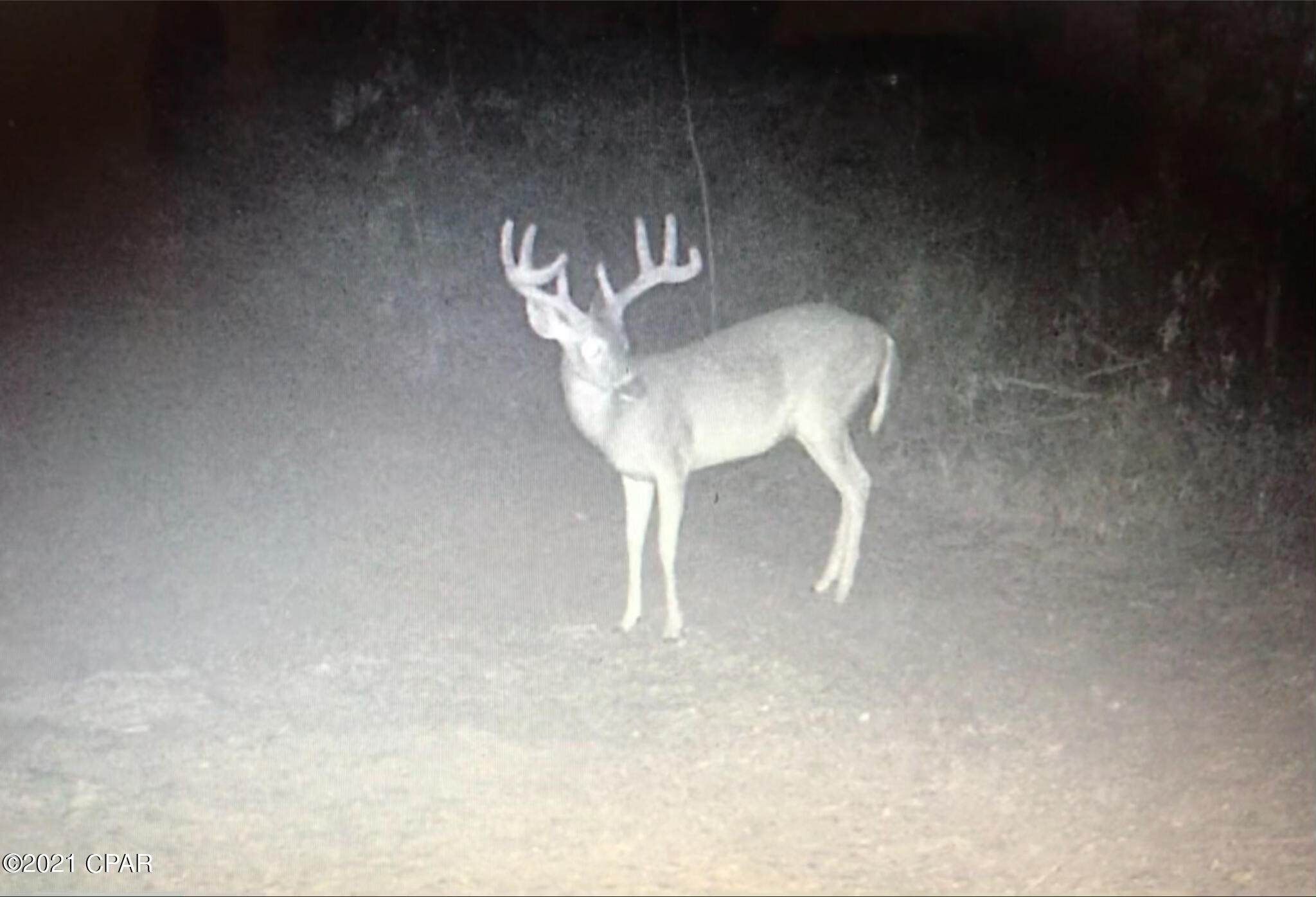 No Named Subdivision - Land