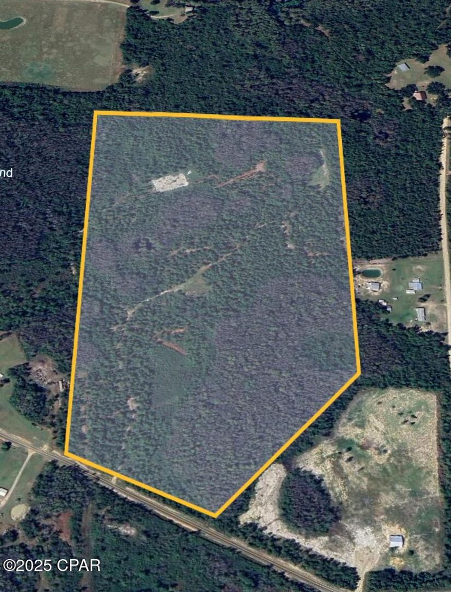 Approximately 62 acres of undeveloped land are available! According to FEMA flood maps, only 15 acres is in the 'A' Flood zone. No matter if you are looking for a Homesite or a hunting lease, or BOTH! This property is ideally suited for hunting deer, turkey, and other game. An access road facilitates entry into the property, and four established food plots provide an added bonus. With hunting season approaching, this property also offers potential as an income-generating asset through leasing to hunters! Cone see it today!