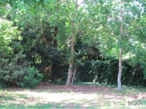 No Named Subdivision - Residential Lease