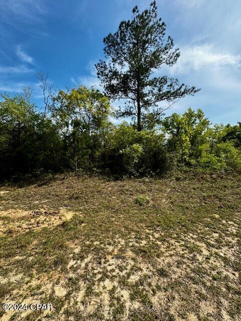 Sunny Hills Unit 9 - Land