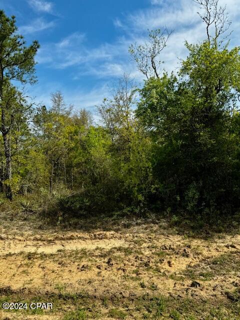 Sunny Hills Unit 9 - Land