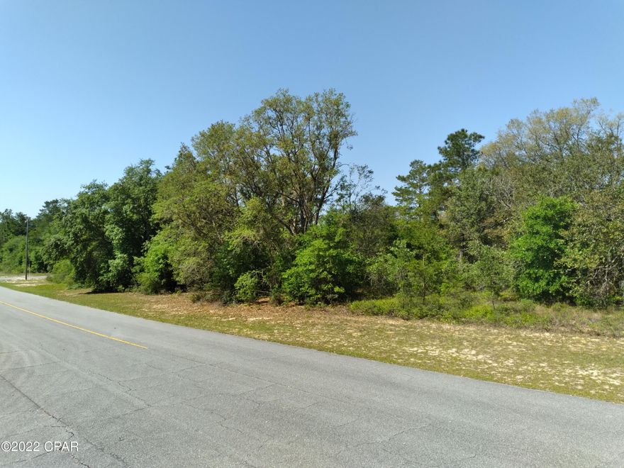Great building lot in Sunny Hills on a smooth paved road, just around the corner from recreational Boat Lake! Sunny Hills is growing, with plenty of new homes that are currently being built. The golf course is ''one of Florida's best kept secrets'' with a slope rating of 120 and a 73.4 USGA rating, according to the Sunny Hills Golf Club website. Fish on Gap Lake, swim at the Boat Lake beach, hunt in one of the nearby public management areas, or float down nearby Econfina or Holmes Creeks. Located within 40 minutes from Panama City or about 20 minutes from Chipley.