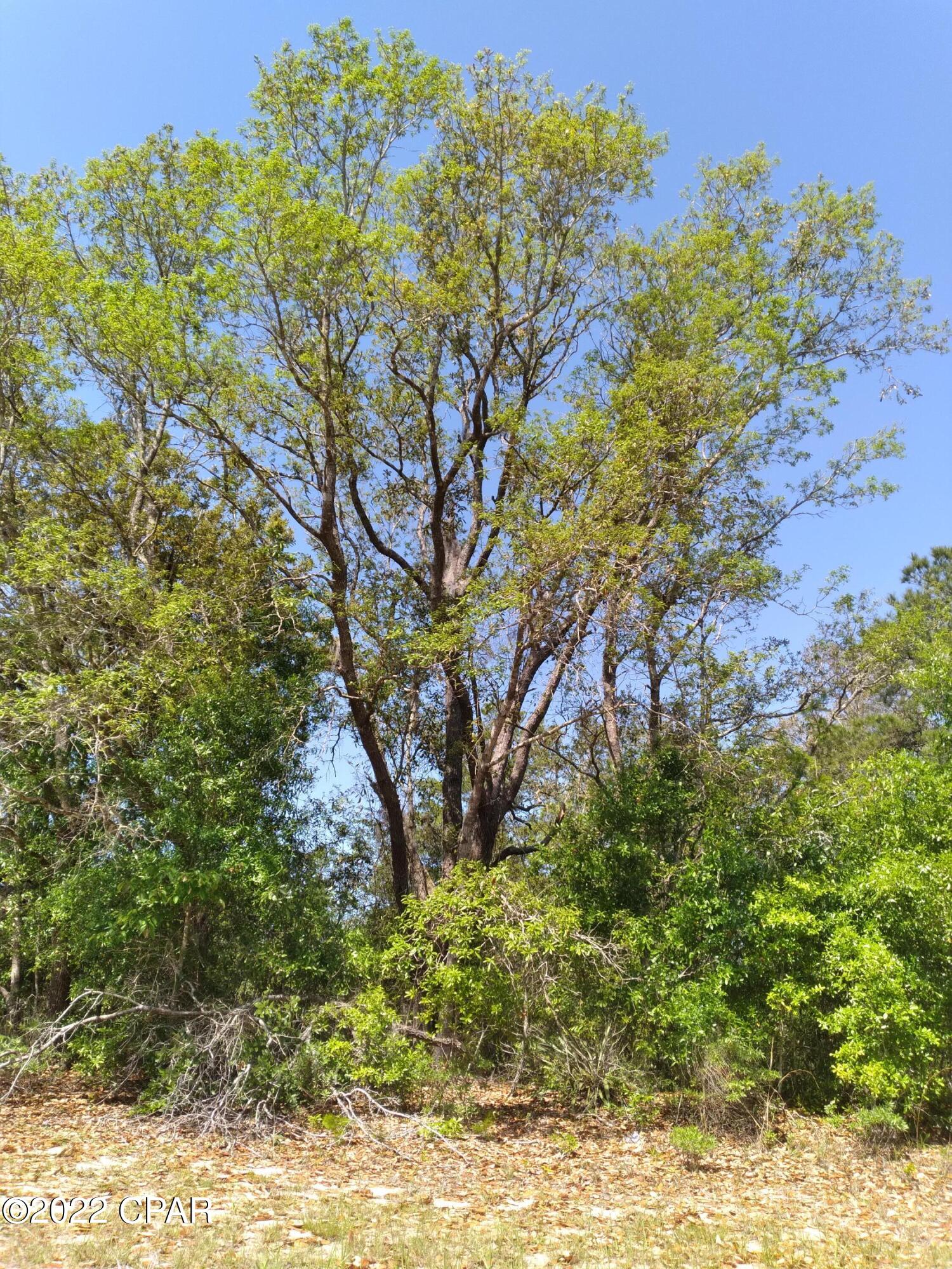 Sunny Hills Unit 2 - Land