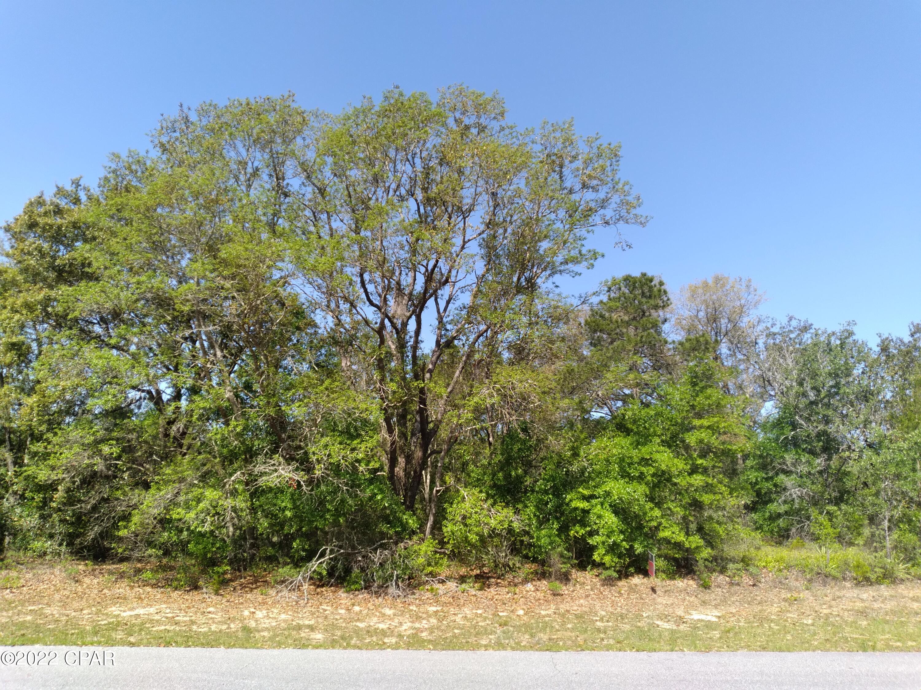 Sunny Hills Unit 2 - Land