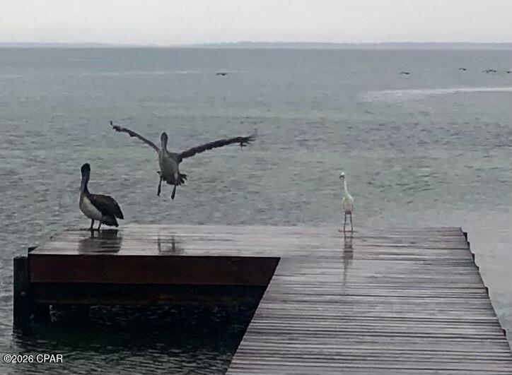 Marina Landing - Residential