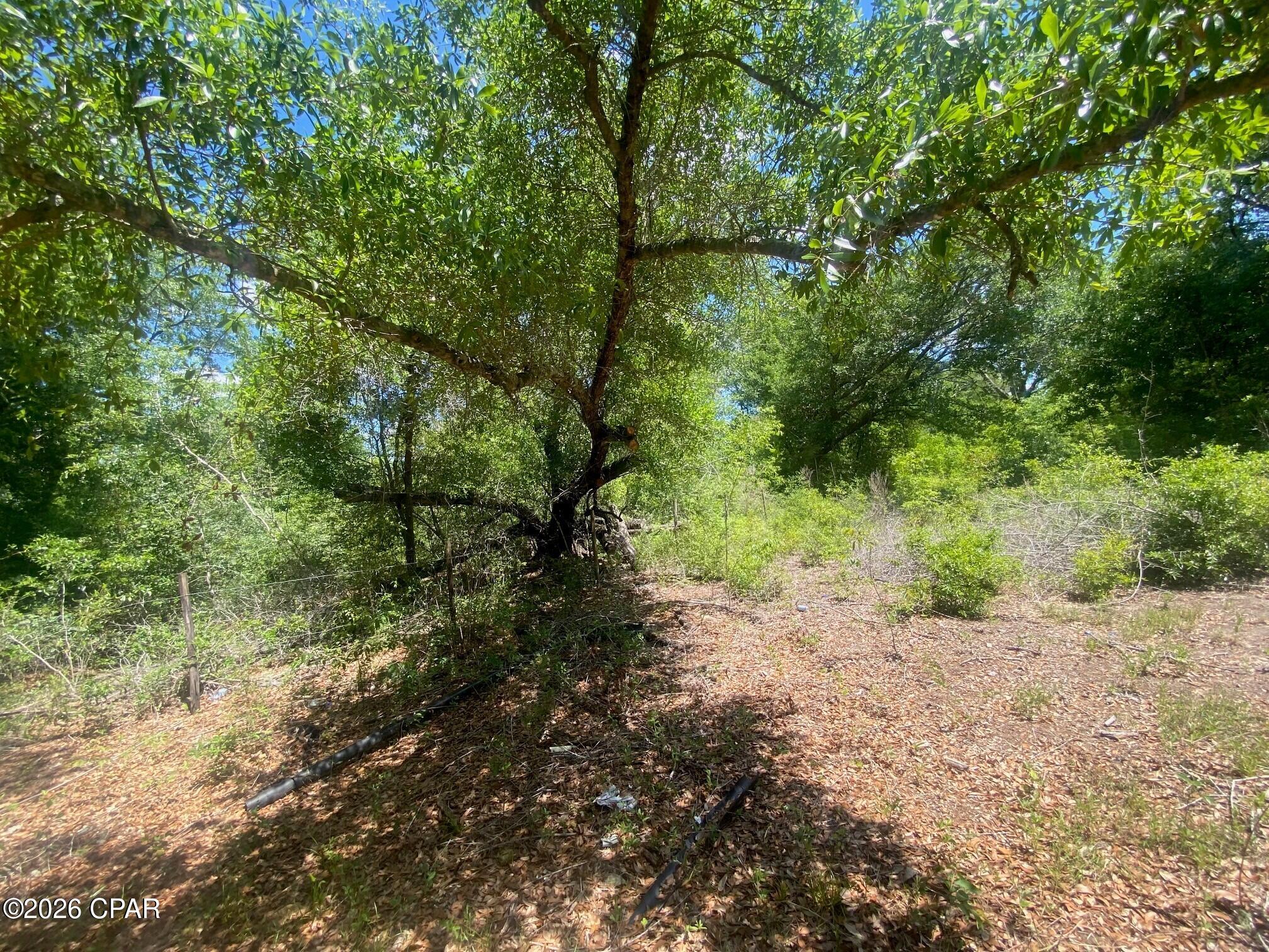 Compass Lake - Residential