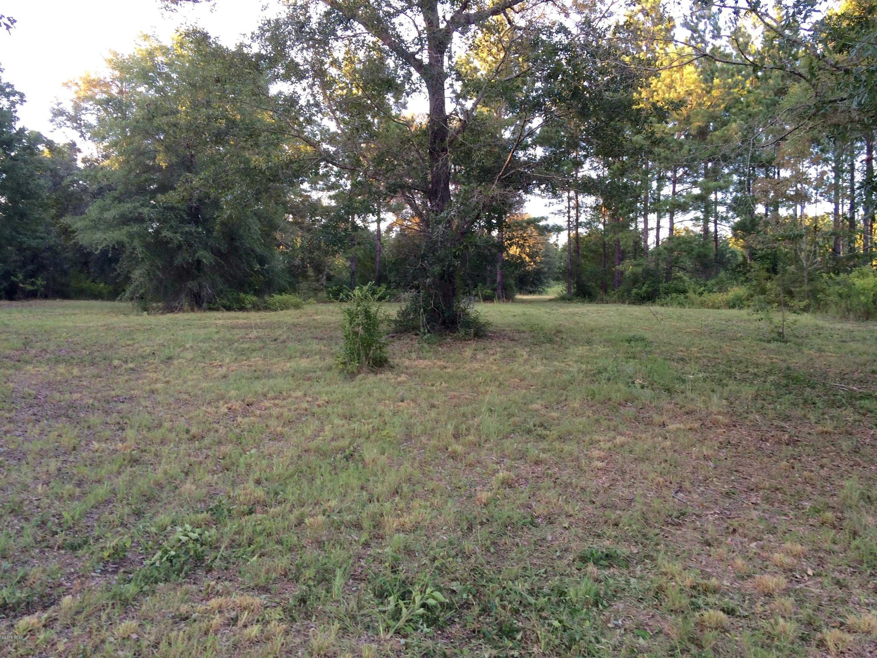 Kiersten Heights - Land