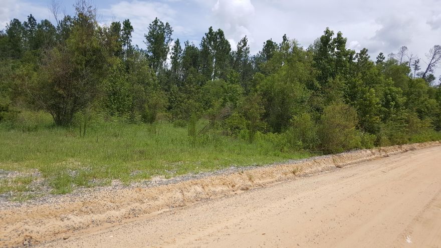 Looking for country living ,look no more . This 20 acre parcel is located on both sides of the road and had endless possibilities. Large timber has been cut and still some smaller oak trees all around the 20 acres. Location is good for anyone needing to go to Jackson County or Washington County to work. Some of the best deer hunting around , right on this property. Call today for more information.