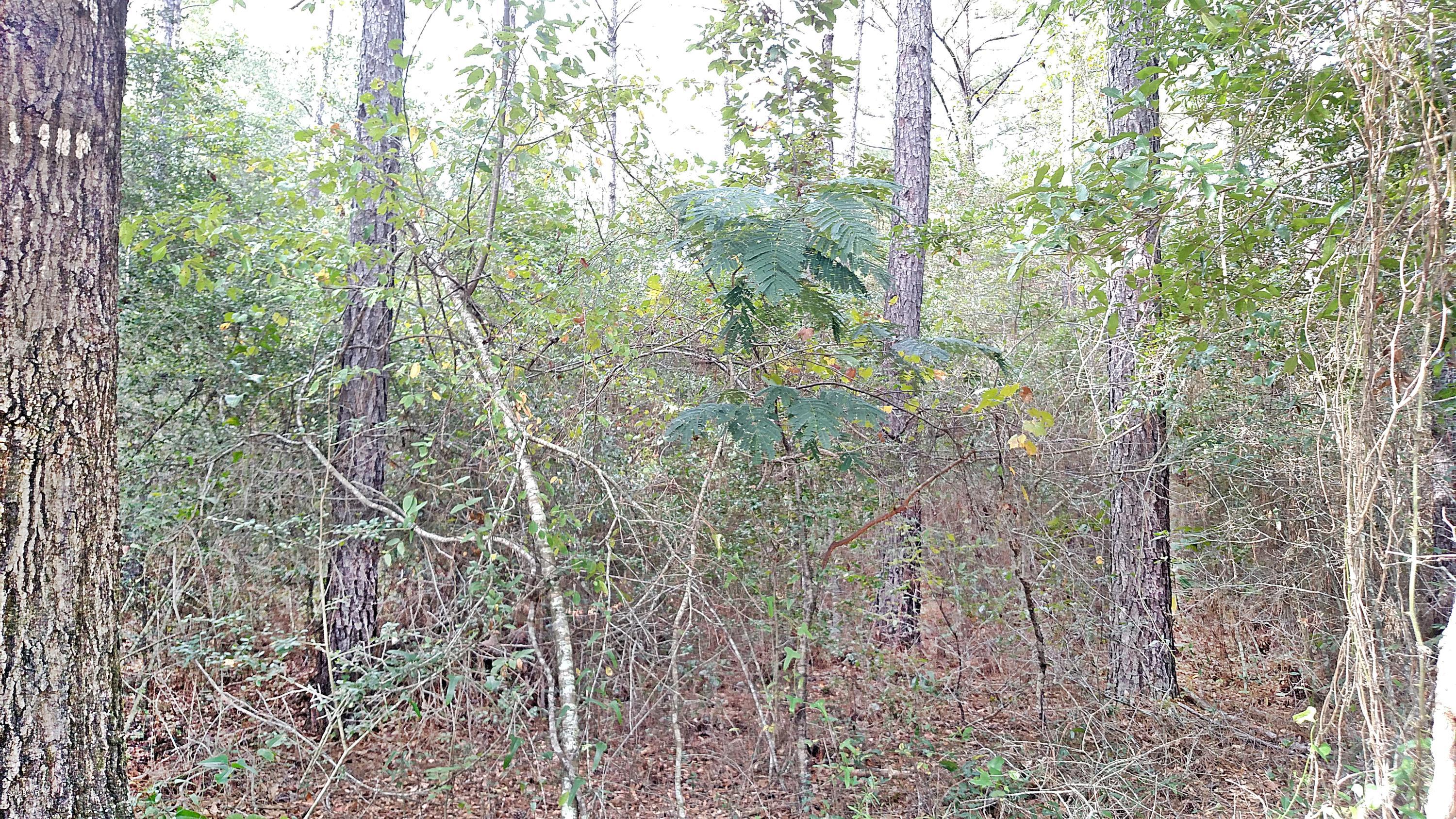 No Named Subdivision - Land