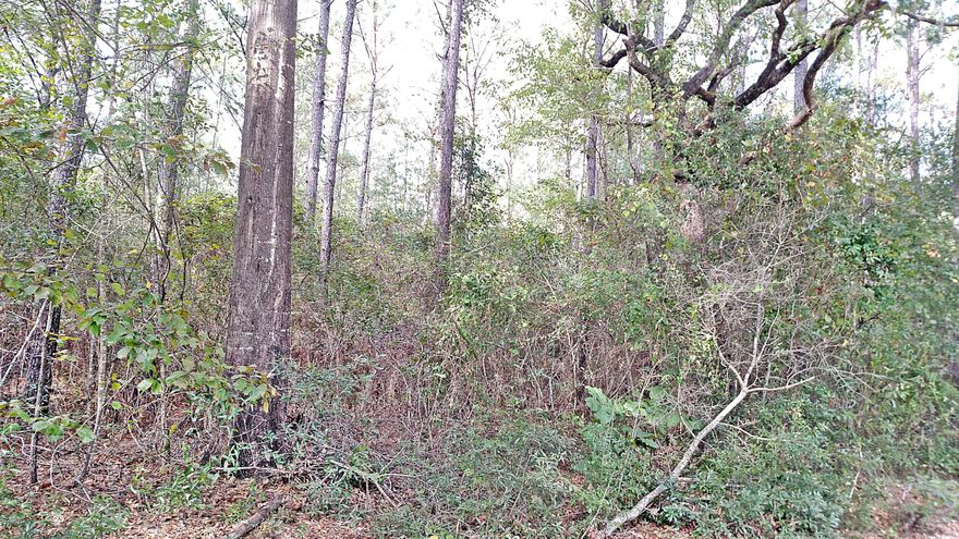 Very nice parcel of wooded land for building your home, very nice homes in the area, close to town but plenty of privacy, great home site, no mobile homes allowed. Drive by walk on.