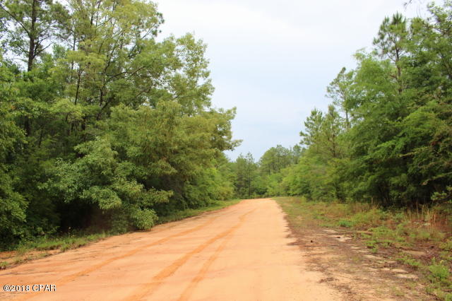 Compass Lake In The Hills - Land