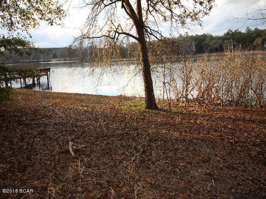 This is offered as Land Value Only. Property does not qualify for financing. Structure on the property is unsafe to enter. Do not enter.. The lot is an acre lot that backs up to Blue Lake. It has nice trees, a yard building, a well and septic tank. Ideal location to built your home on.