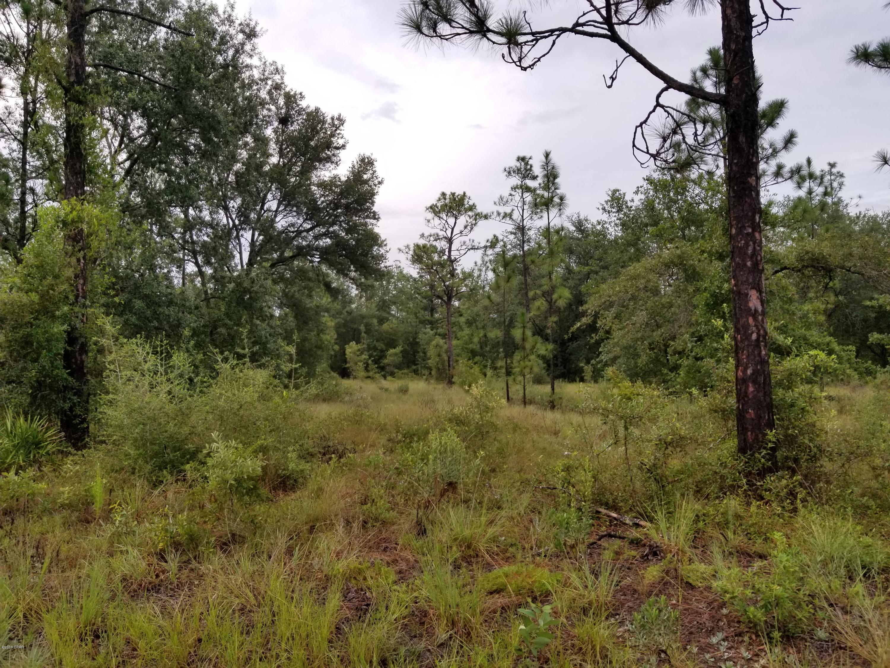 Leisure Lakes - Land