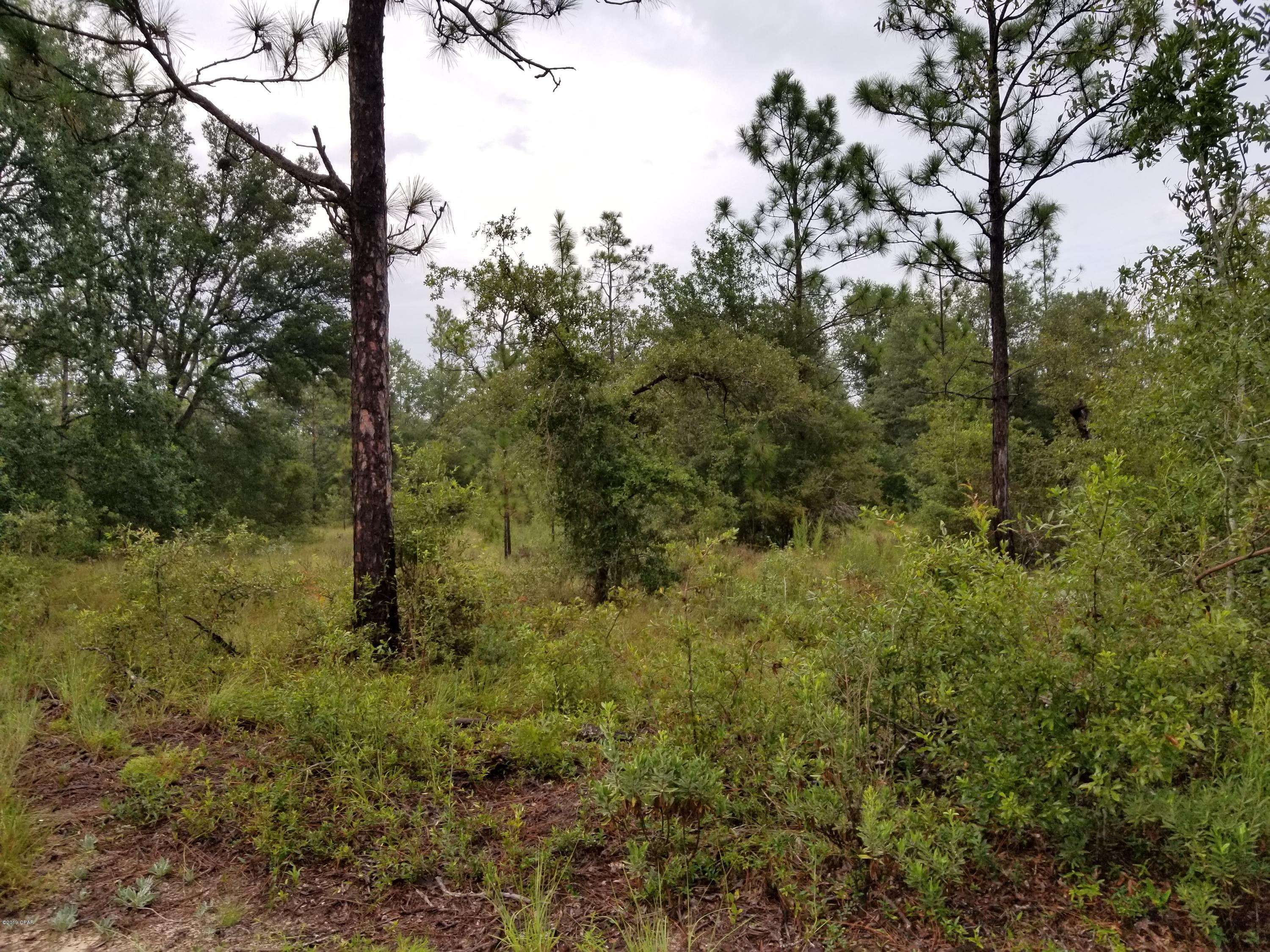 Leisure Lakes - Land