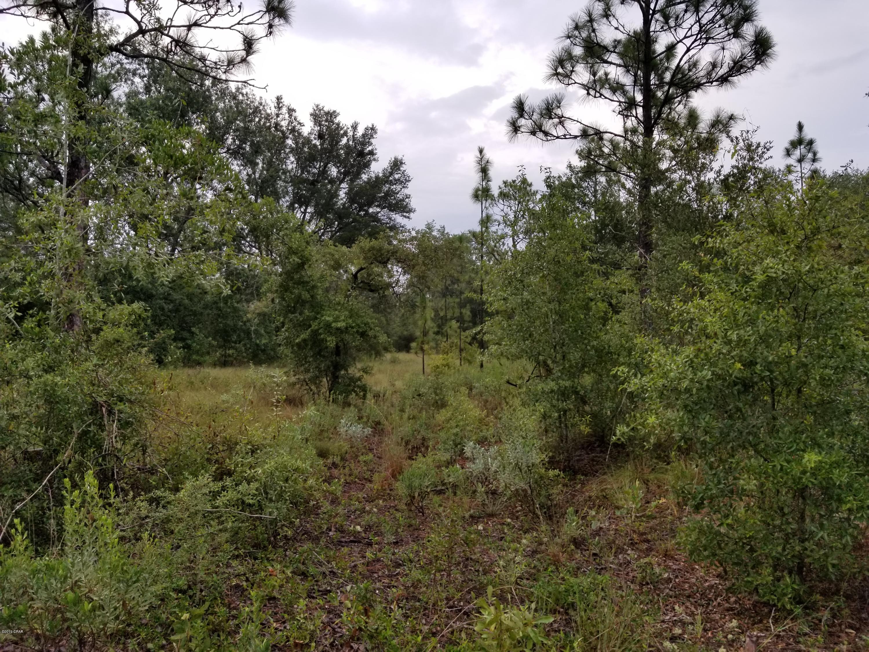 Leisure Lakes - Land