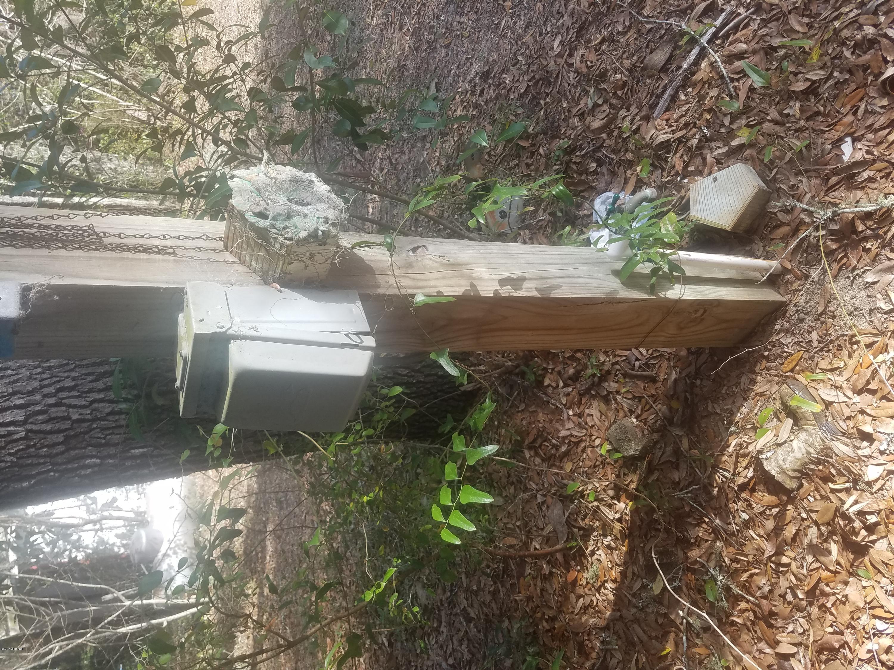 Steel Field Fish Camp - Land