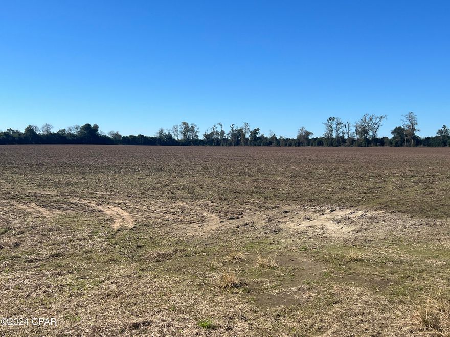 Nice 39 acres, cleared farmland, out in the country on a dirt road. Good hunting & within a couple miles of a public boat ramp on Chipola River.

CURRENTLY UNDER CONTRACT, SELLER WILL CONSIDER BACKUP OFFERS. CURRENTLY UNDER CONTRACT, SELLER WILL CONSIDER BACKUP OFFERS.